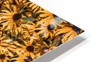  85A4117 HD Metal print