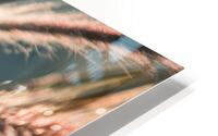  85A3680 HD Metal print