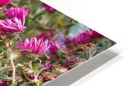  Q8A0580 HD Metal print