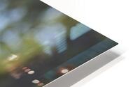 1Q8A8168 HD Metal print