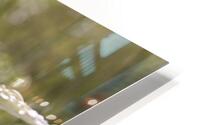 1Q8A8272 HD Metal print