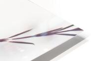044A1194 Impression metal HD