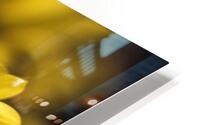 044A1014 Impression metal HD
