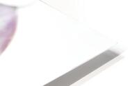044A3486 Impression metal HD
