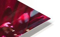 085A6374 Impression metal HD