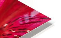 085A7061 HD Metal print