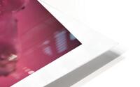  44A2515 HD Metal print