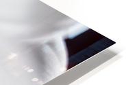 Purete HD Metal print
