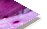 Pinky 2 HD Metal print