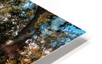 Monet style 1 HD Metal print