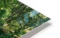 Monet style 2 HD Metal print