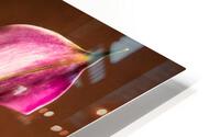Les oubliees HD Metal print