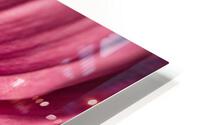 Pink Mood III HD Metal print