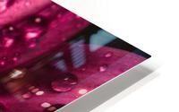 Pink mood HD Metal print