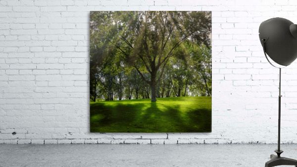 Satori Wall Preview