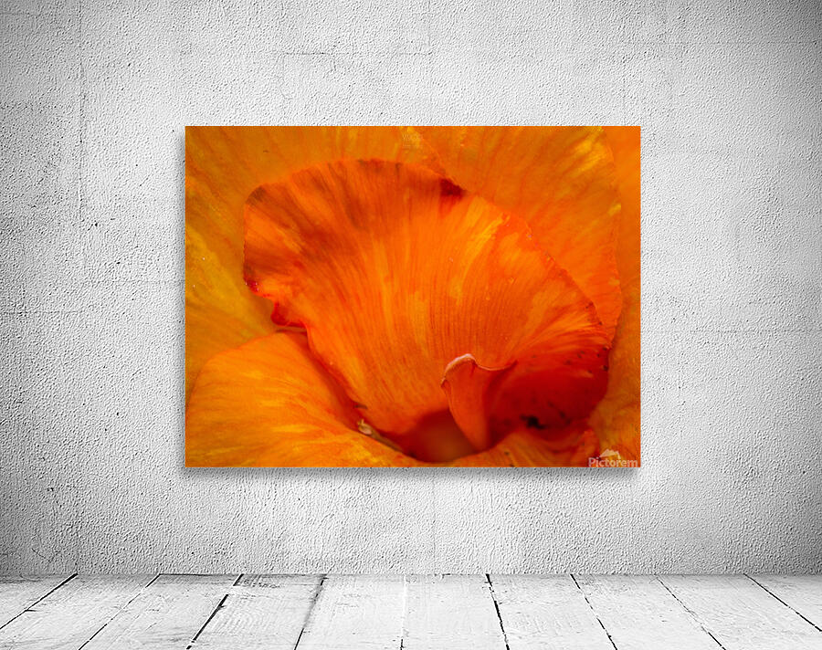  44A5609 Wall Preview