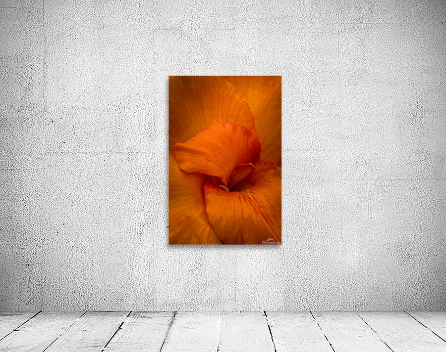  44A5604 Wall Preview