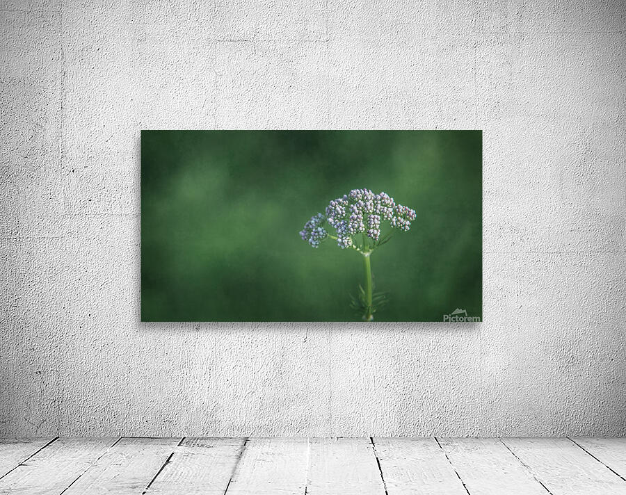  44A5530 Wall Preview