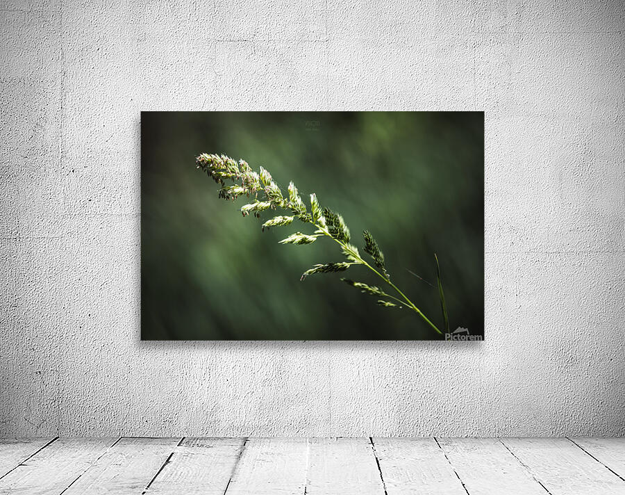  44A5438 Wall Preview