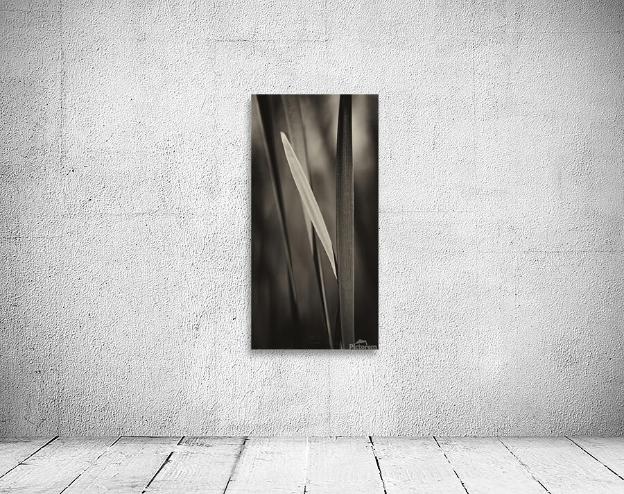  44A5457  Wall Preview