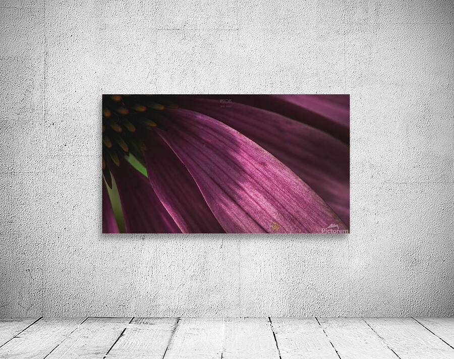  44A6012 Wall Preview