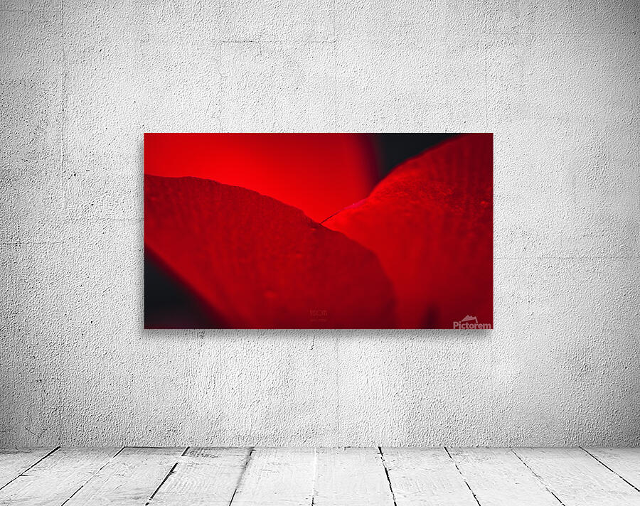  44A5652 Wall Preview