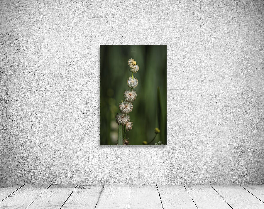 44A5452 Wall Preview