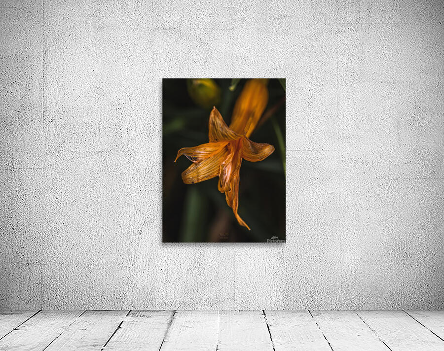  44A5999 Wall Preview