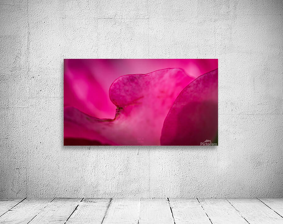  44A6011 Wall Preview