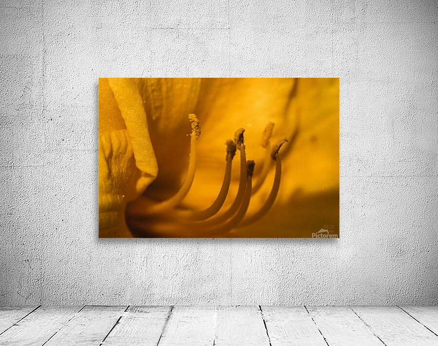 44A6034 Wall Preview
