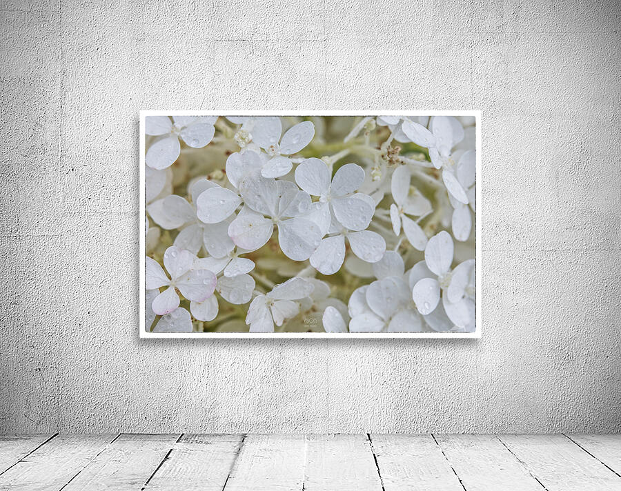  44A5918  Wall Preview