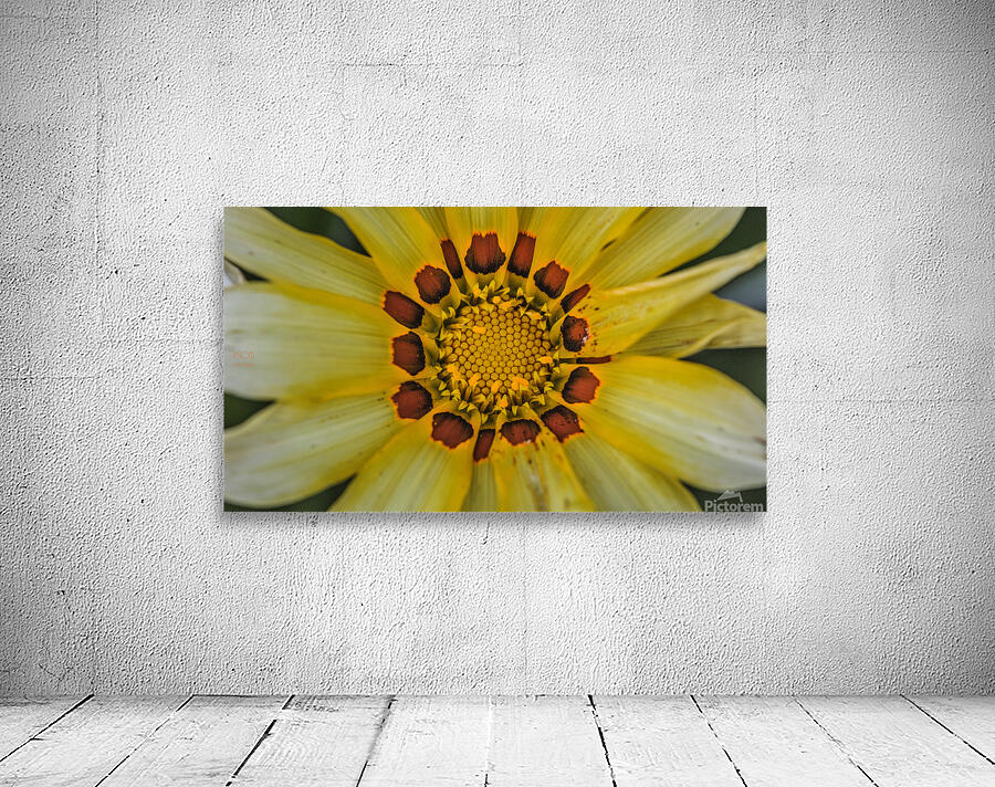  44A5995 Wall Preview