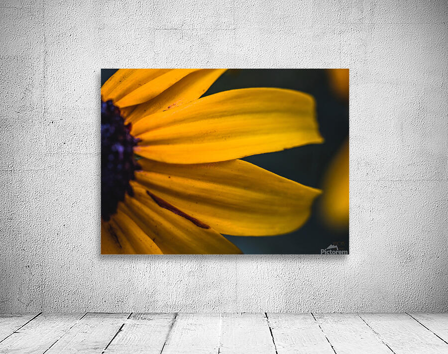  44A5932 Wall Preview