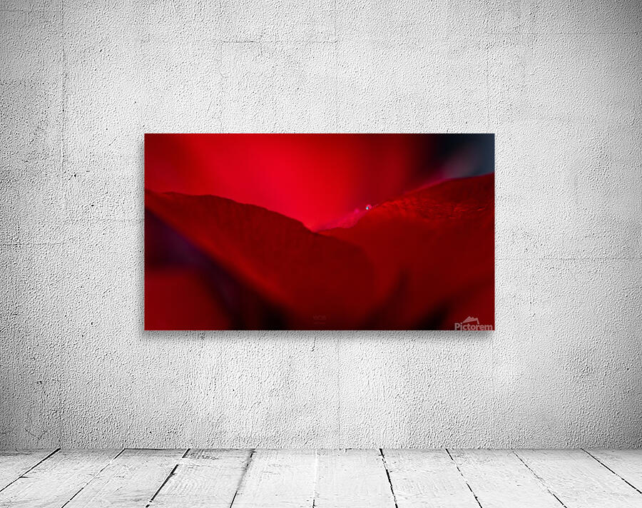  44A5650 Wall Preview