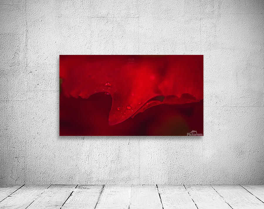  44A5669 Wall Preview