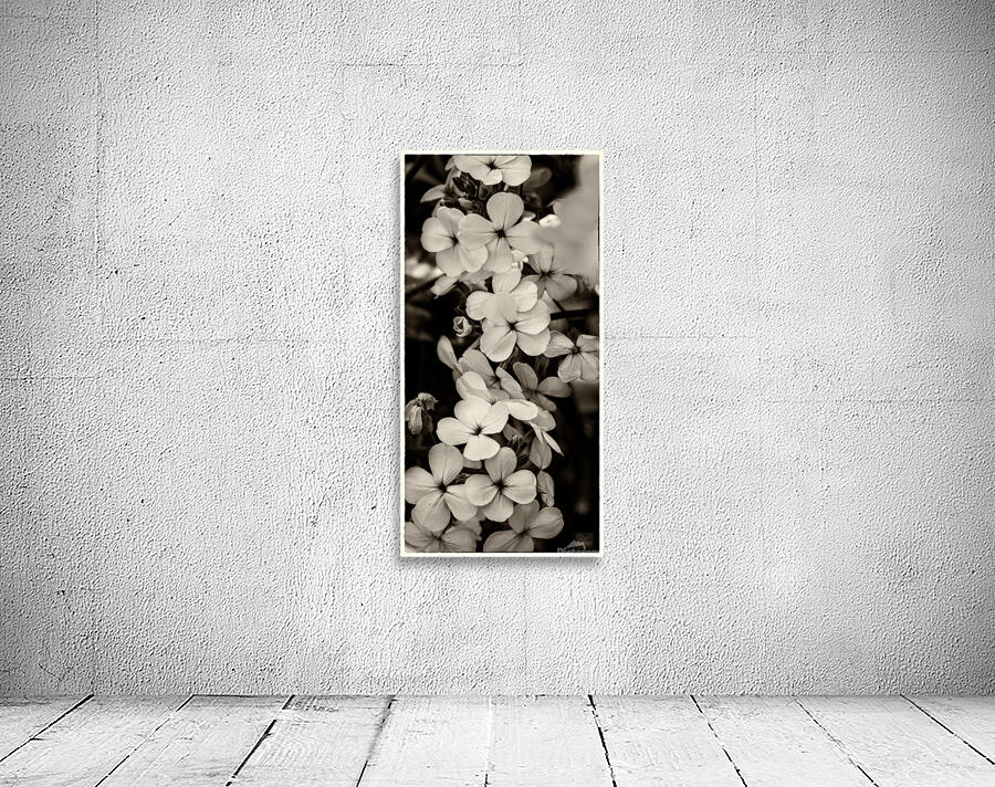  44A5506  Wall Preview