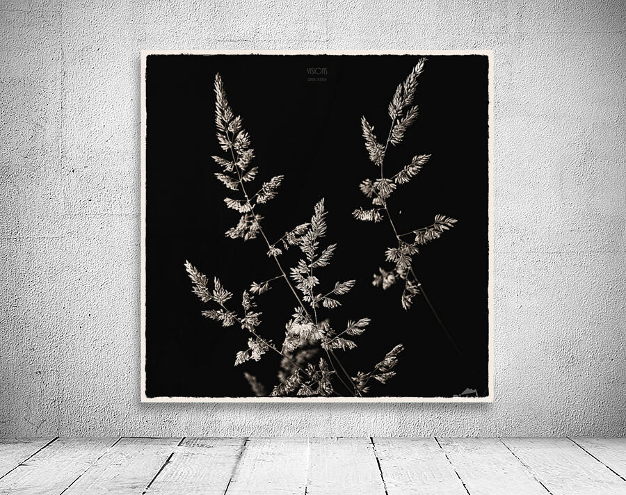  44A5523 Wall Preview