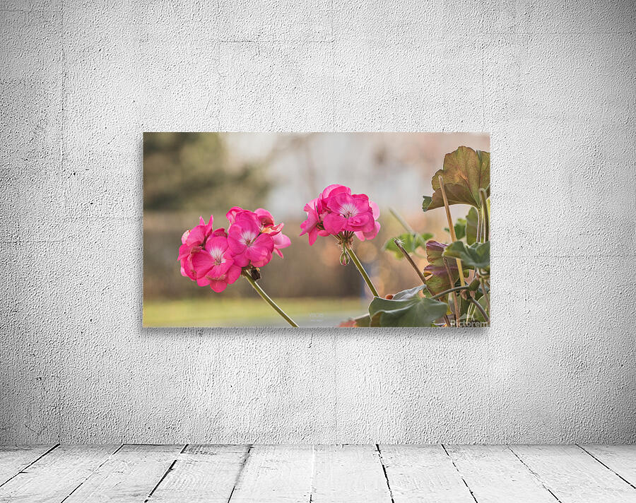  44A6602 Wall Preview