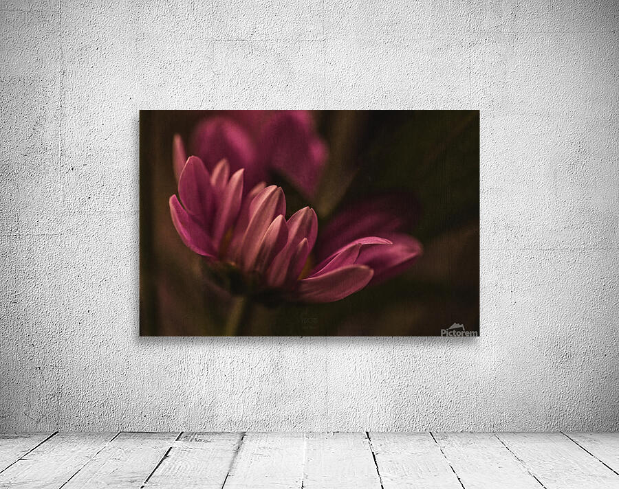  44A6746 Wall Preview