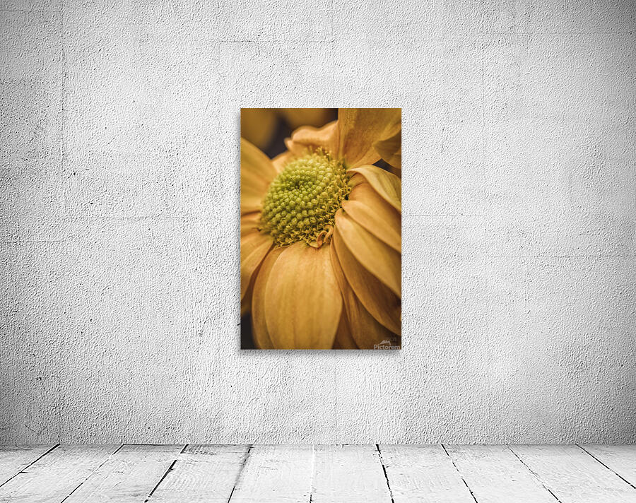  44A6419 Wall Preview