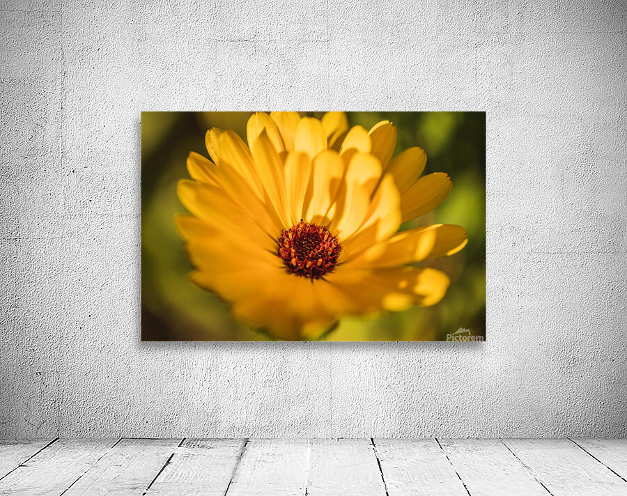  44A6490 Wall Preview