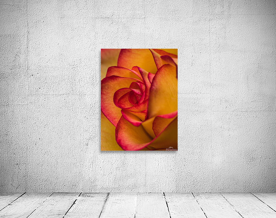  44A6388 Wall Preview