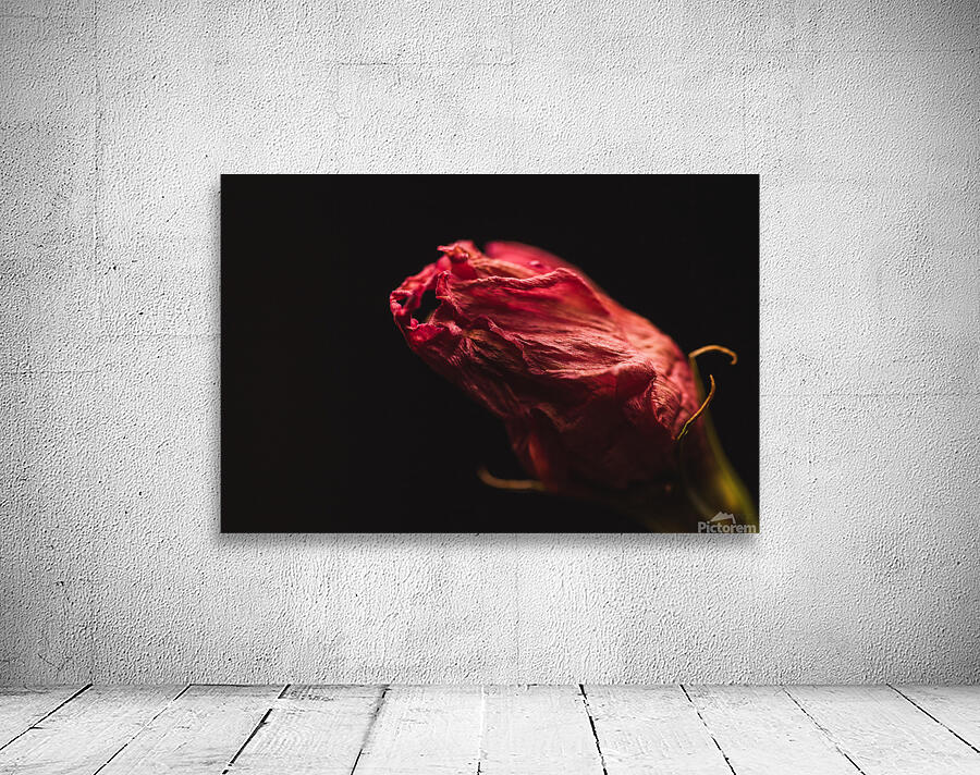 44A6736  Wall Preview