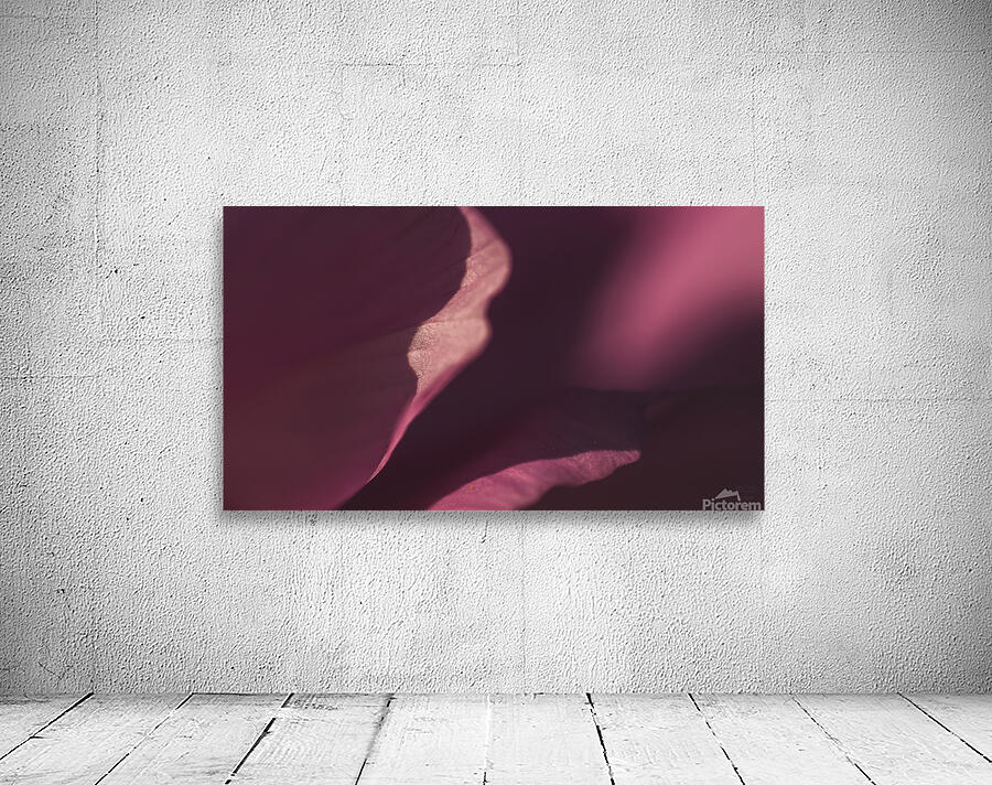  44A6480 Wall Preview