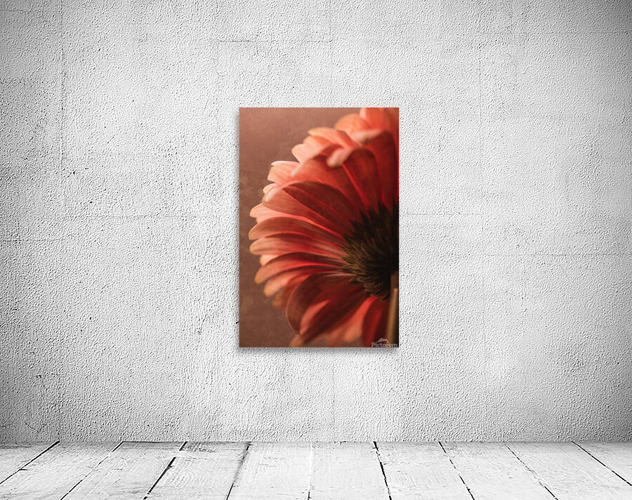  44A6700 Wall Preview