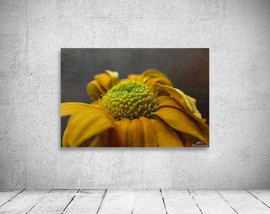  44A6389 Wall Preview