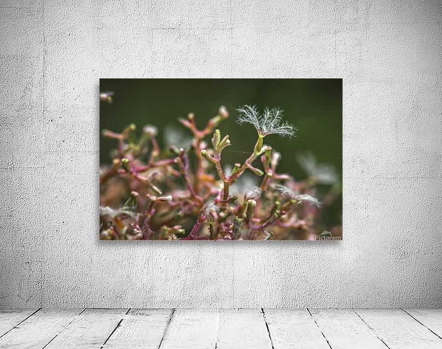  44A6052 Wall Preview