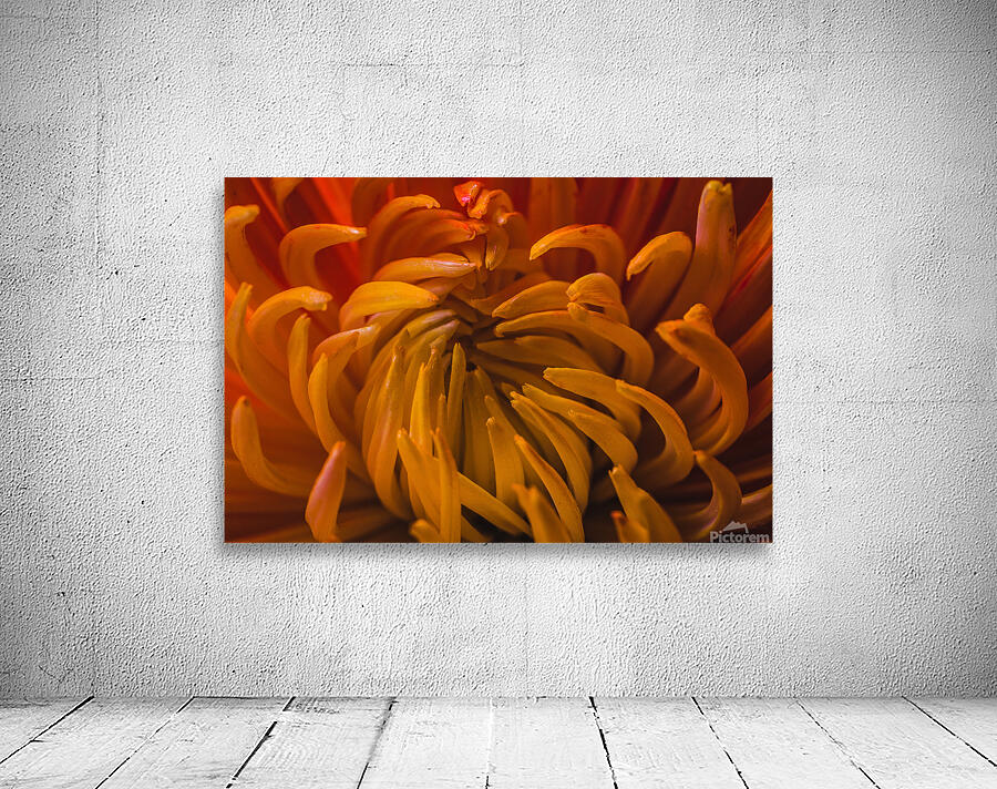  44A6372 Wall Preview