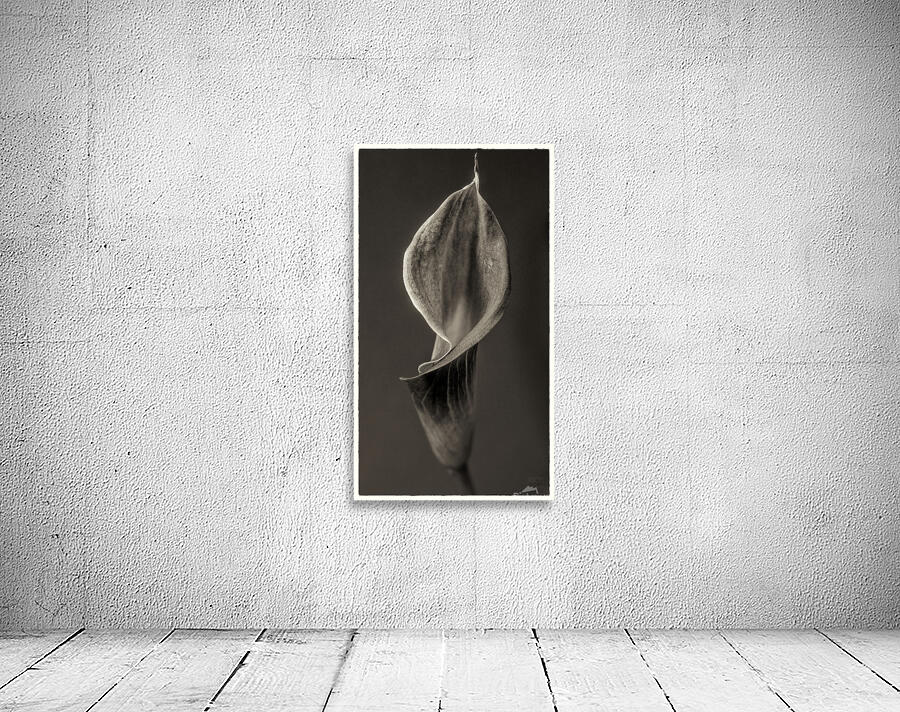  44A6948  Wall Preview