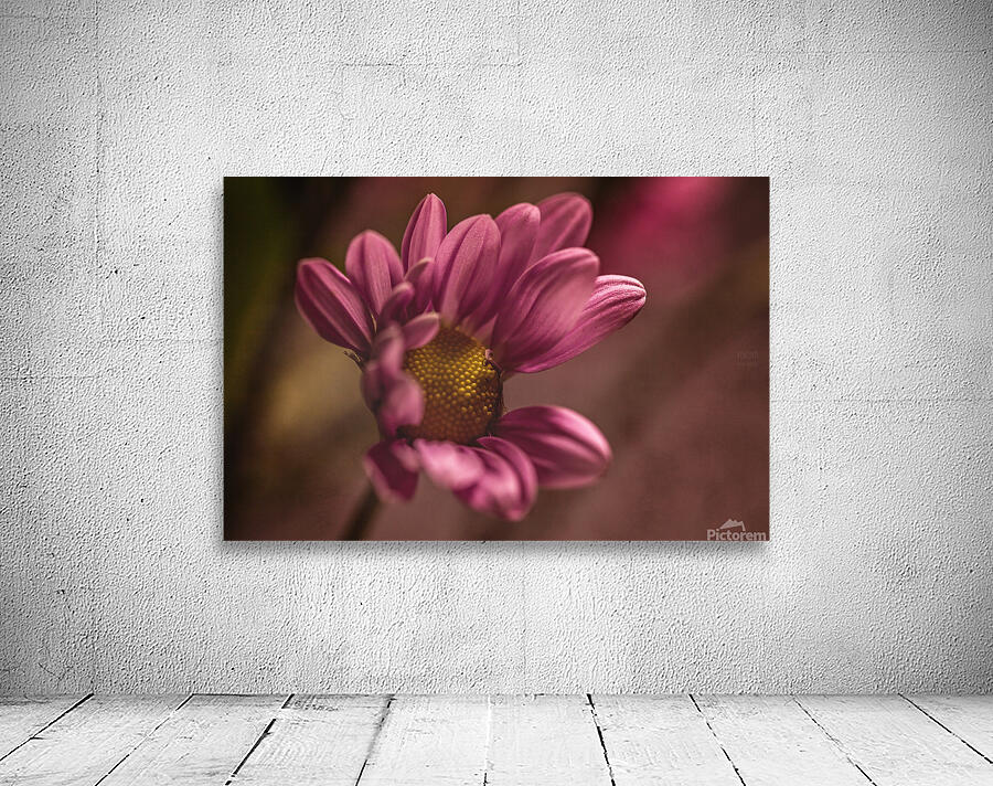  44A6750 Wall Preview